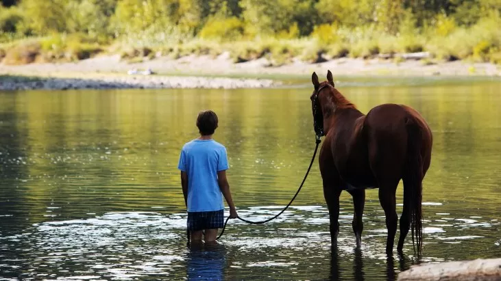 Lean on Pete izle